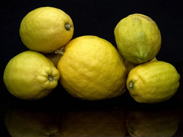 어둠에 레몬의 정 — 스톡 사진
