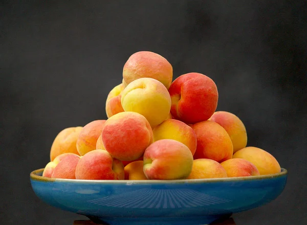 Blue Dish Red Yellow Apricots — Stock Photo, Image