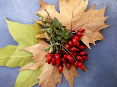 Düşen yapraklar ve bir sürü kalça.