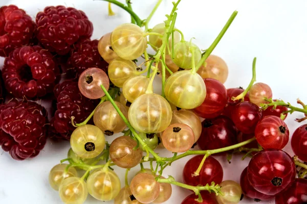 Raspberries Red White Currants Studio Shot White Background — Stock Photo, Image