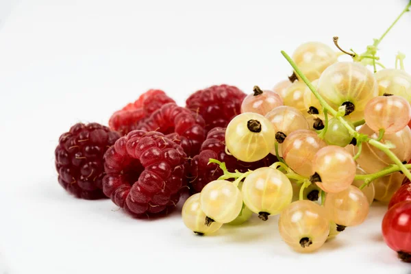 Raspberries Red White Currants Studio Shot White Background — Stock Photo, Image