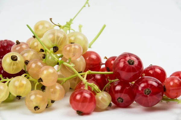 Raspberries Red White Currants Studio Shot White Background — Stock Photo, Image