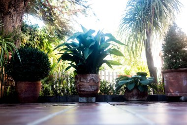 Alt düzlemden çiçek saksılarıyla avlu manzarası