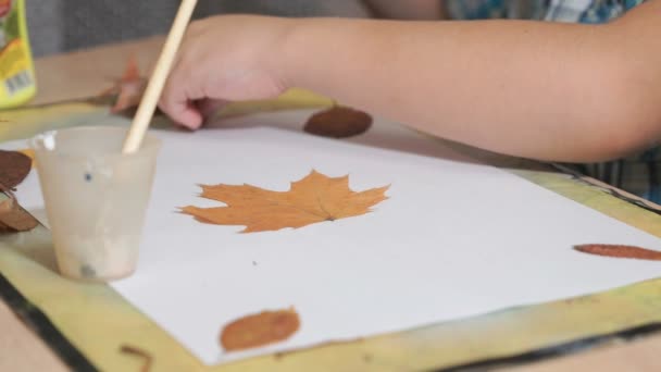 Kind maken herbarium van bladeren. Close-up — Stockvideo