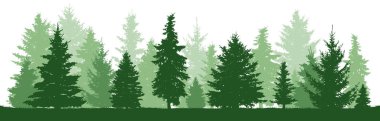 Ağaçlar çam, köknar, Ladin, Noel ağacı. İğne yapraklı orman, vektör siluet. Evergreen orman, vektör