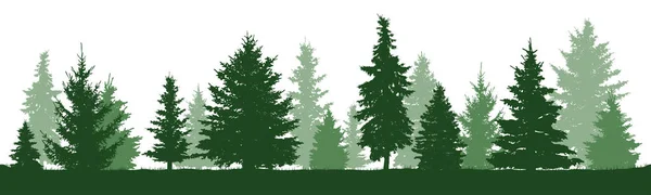 Bosque Coníferas Silueta Vectorial Árboles Pino Abeto Abeto Árbol Navidad — Archivo Imágenes Vectoriales