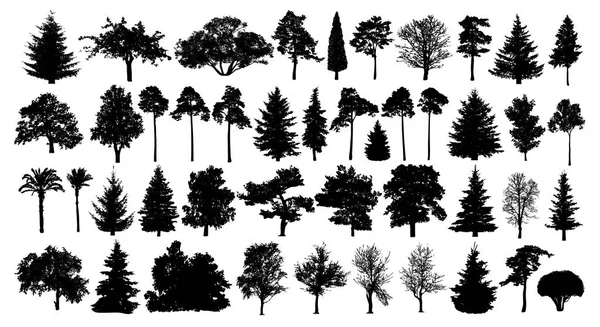 針葉樹林に住む シルエットを設定します 白い背景の上の隔離されたツリー — ストックベクタ