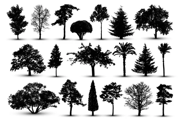 Tree Silhouette Forest Vector Nature Park Isolated Set Tree White — Stock Vector