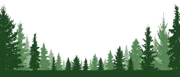 Wiecznie Zielone Iglastych Drzew Leśnych Sylwetka Tło Wektor Białym Tle — Wektor stockowy