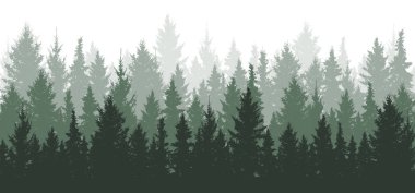 Orman arka planı, doğa, manzara. Evergreen kozalaklı ağaçlar. Çam, çam, noel ağacı. Siluet vektörü