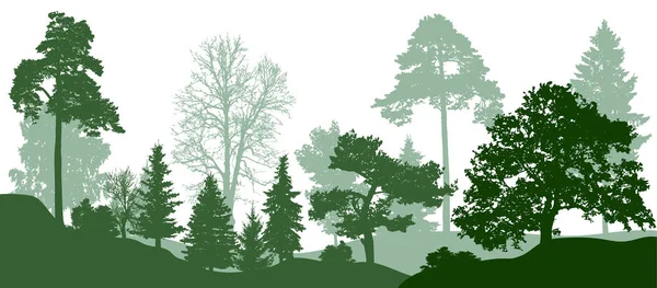 森の緑の木々 のシルエット ベクトルの背景 — ストックベクタ
