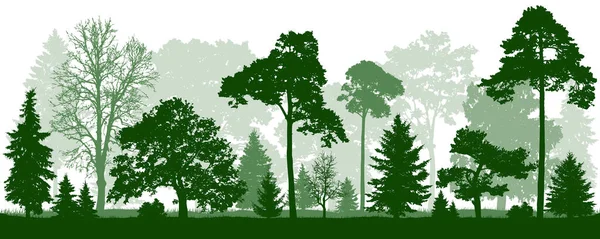 Forest Green Trees Silhouette Nature Park Landscape Isolated Seamless Vector — Stock Vector