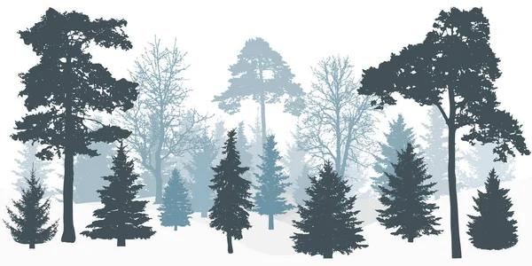 Silhueta Inverno Floresta Nevada Árvores —  Vetores de Stock
