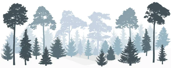 Зимовий Туманний Ліс Персики Сосни Силует Панорама Векторні Ілюстрації — стоковий вектор