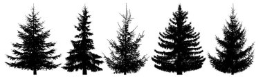 Orman ağaçları ayarlayın. İzole vektör siluet. Noel ağacı, çam ağacı, çam, çam ağacı, viski köknar, sedir