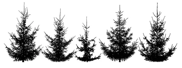 Arbres Noël Forestiers Prêts Silhouette Vectorielle Isolée — Image vectorielle