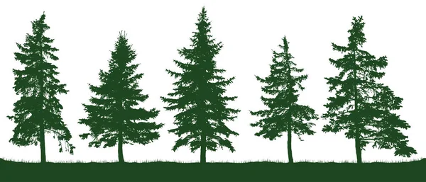 Sílhueta Abetos Florestais Árvore Natal Abeto Verde Conífero Vetor Sobre — Vetor de Stock