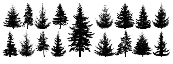 Arbres Forestiers Prêts Silhouette Vectorielle Isolée Forêt Conifères Sapin Noël — Image vectorielle