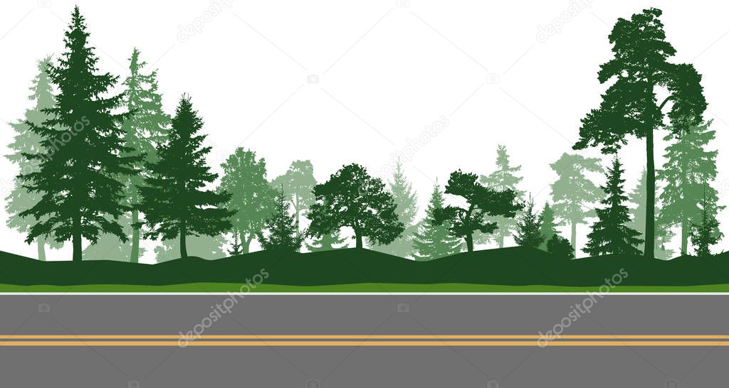 Forest trees, horizontal road. Vector illustration
