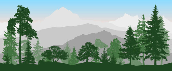Landscape forest, mountains. Coniferous trees. Vector illustration