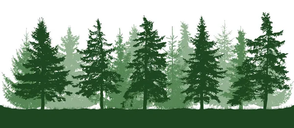 Silhouette Foresta Conifere Bei Abeti Isolato Sfondo Bianco Illustrazione Vettoriale — Vettoriale Stock