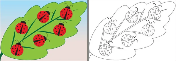 Livre Colorier Pour Enfants Coccinelle Dessin Animé Sur Feuille Illustration — Image vectorielle