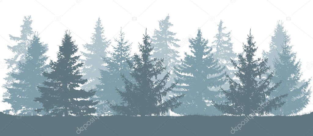 Winter forest, silhouette of spruces. Vector illustration.