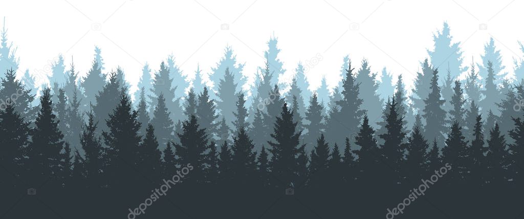 Seamless winter forest, silhouette of spruces. Vector illustration.