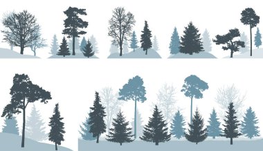 Group of different trees (spruce, pine, oak, maple, etc.) in forest or in park, isolated on white background. Vector illustration. clipart