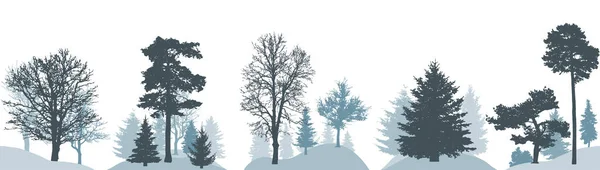 Set Hutan Musim Dingin Siluet Pohon Yang Berbeda Ilustrasi Vektor - Stok Vektor