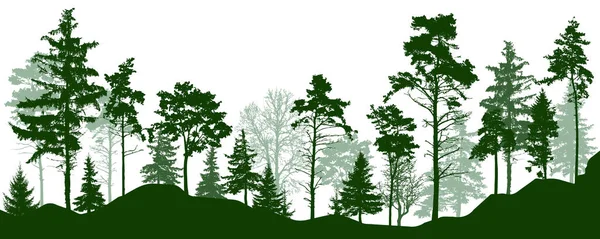 Waldsilhouette Grüne Bäume Nadelwald Park Allee Vektorillustration — Stockvektor