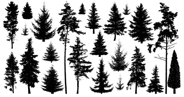 Silhouette Pini Set Alberi Forestali Isolati Sfondo Bianco Raccolta Conifere — Vettoriale Stock