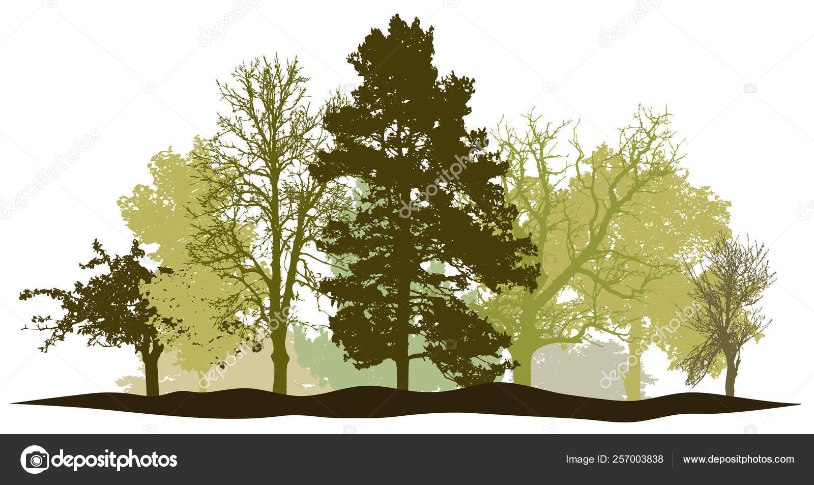 Image vectorielle Arbres forêt printemps silhouette vecteur par  ©Irusetka.yandex.ru - 257003838, image size:1600x953