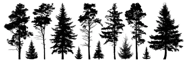 Forêt arbres à feuilles persistantes silhouette ensemble isolé — Image vectorielle