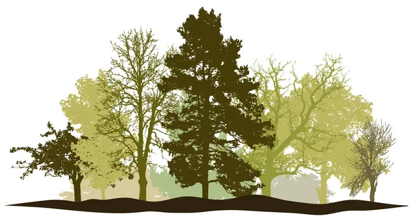 Árboles bosque primavera silueta vector — Vector de stock