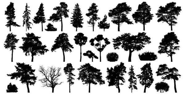Alberi impostati isolati su sfondo bianco. silhouette foresta di conifere — Vettoriale Stock
