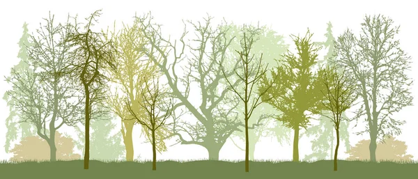 Park (kahle Bäume) in der Silhouette des Frühlings. Vektorillustration. — Stockvektor