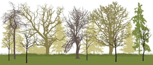 Силуэт весеннего парка (голые деревья). Векторная иллюстрация . — стоковый вектор