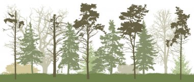 İlkbaharda orman silueti. Vektör çizimi.