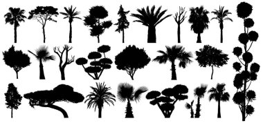 Set of subtropical trees and shrubs. Isolated vector silhouette on a white background clipart
