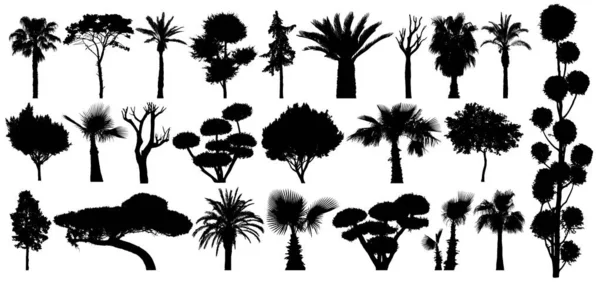 Conjunto de árboles y arbustos subtropicales. Silueta vectorial aislada sobre fondo blanco — Archivo Imágenes Vectoriales