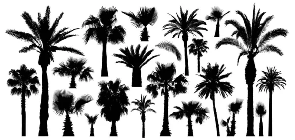 Palm tropische bomen silhouet. Geïsoleerd op witte achtergrond. Vectorset — Stockvector