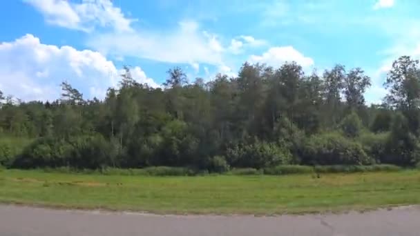 Vista da floresta a partir da janela de um carro em movimento rápido na estrada — Vídeo de Stock