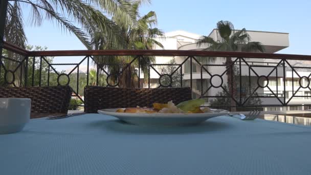 Sparrows steal visitors food from the plate, which stands on the table, on the terrace of the restaurant — Stock Video