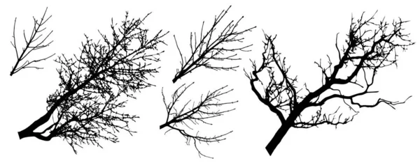 Ensemble de silhouettes de branches d'arbres, illustration vectorielle — Image vectorielle