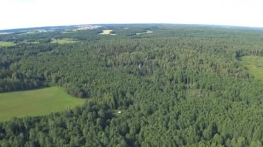 Beyaz Rusya'da orman ve arazi üzerinde güçlü paraşütle uçan. Yüksekten manzara. Bakış açısı, el düzenlenen