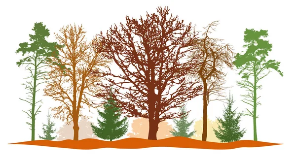 Wald im Herbst, Silhouetten von kahlen Bäumen, Tannen, Kiefern usw.. — Stockvektor