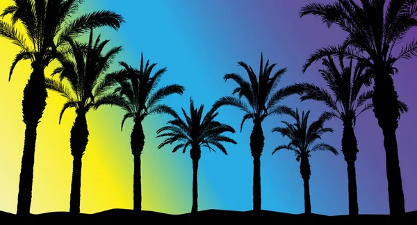 Silhouetten schöner Palmen auf hellem Hintergrund, — Stockvektor