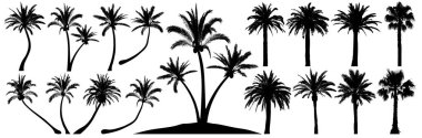 Palm trees silhouette. Coconut tree date palm. Vector set tropical trees clipart