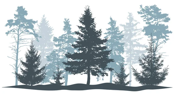 Силуэт зимних деревьев. Красивые ели и сосны . — стоковый вектор